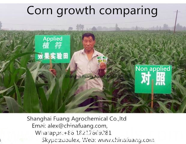 Cotton Plant Hormones 95% Tc Tdz / Thidiazuron